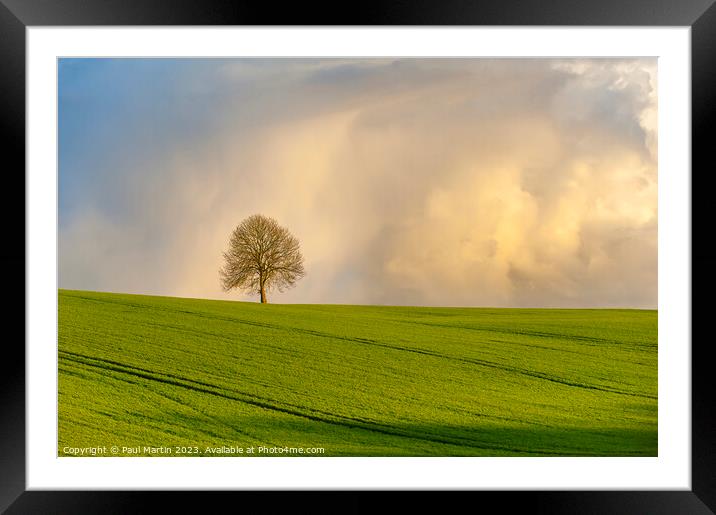 Lone Tree Framed Mounted Print by Paul Martin