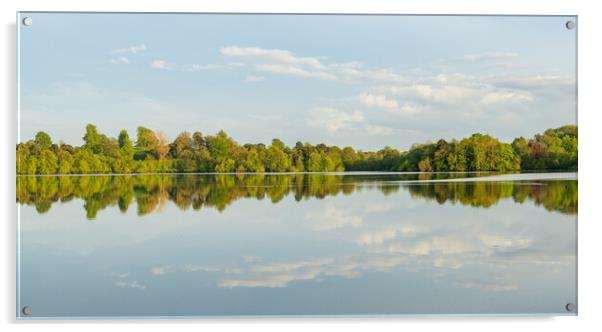 View across the Mere to a clear reflection of dist Acrylic by Steve Heap