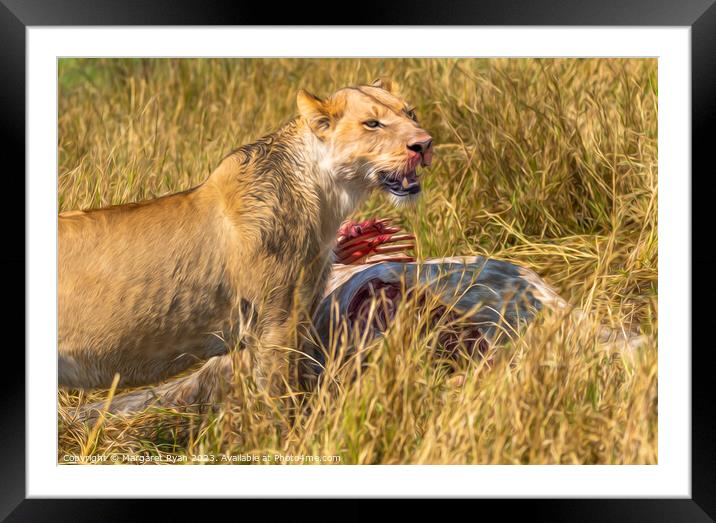 Carnivore Queen of the Savannah. Framed Mounted Print by Margaret Ryan