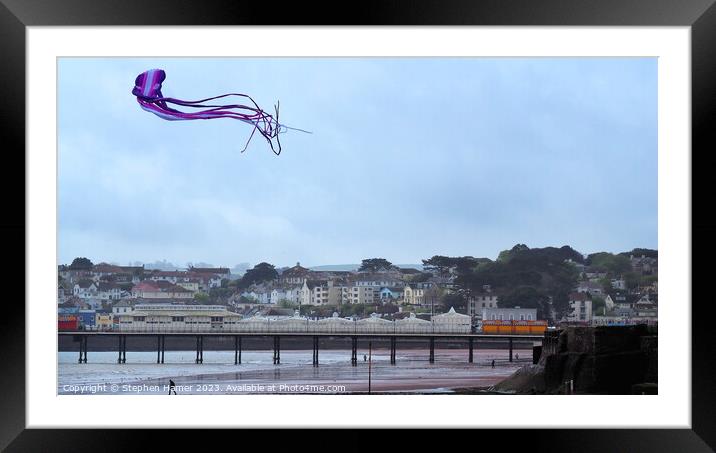 Long-Tailed Kite Takes Flight Framed Mounted Print by Stephen Hamer