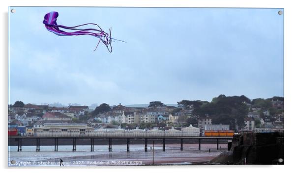 Long-Tailed Kite Takes Flight Acrylic by Stephen Hamer
