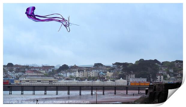 Long-Tailed Kite Takes Flight Print by Stephen Hamer