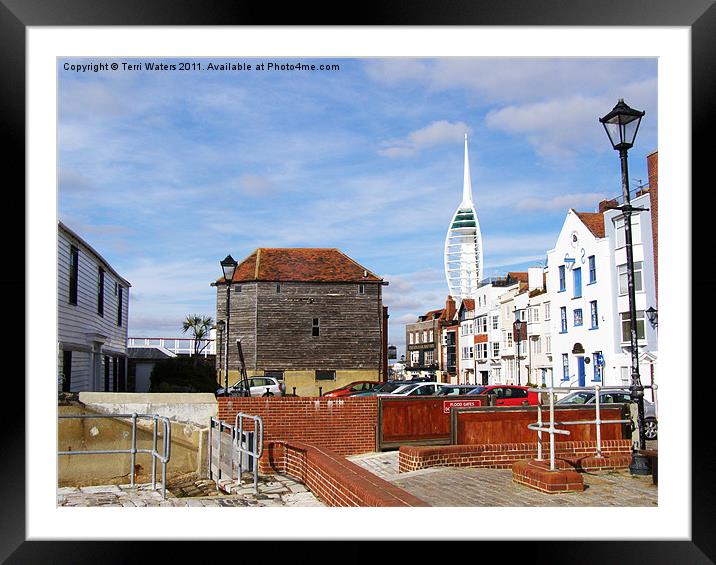 Old Portsmouth Flood Gates Framed Mounted Print by Terri Waters