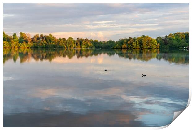 View across the Ellesmere Mere to a clear reflecti Print by Steve Heap