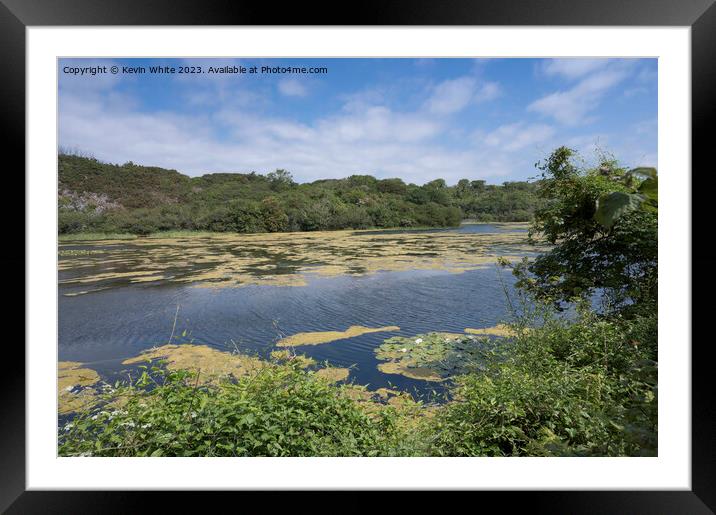 Bosherston Lakes on a hot June day Framed Mounted Print by Kevin White