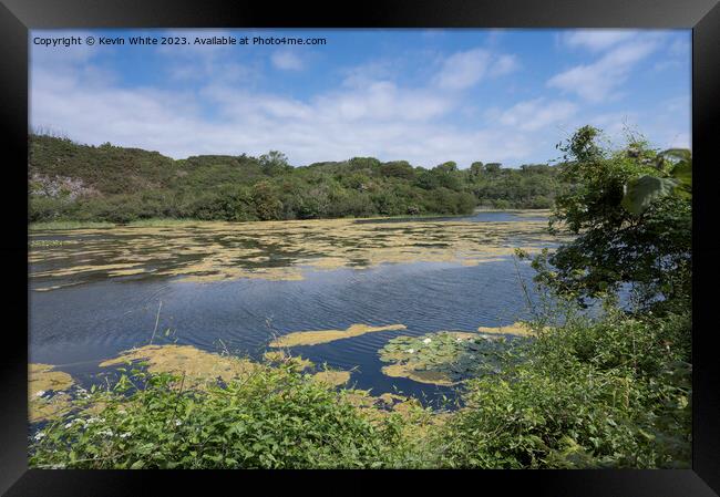 Bosherston Lakes on a hot June day Framed Print by Kevin White