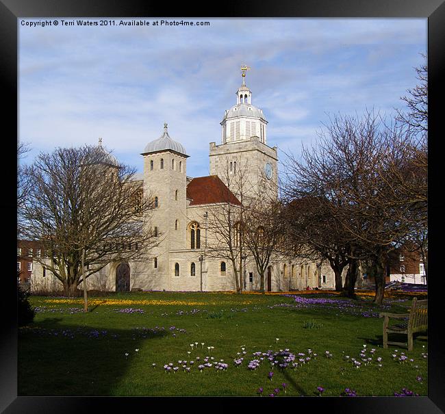 Portsmouth Cathedral in Springtime Framed Print by Terri Waters