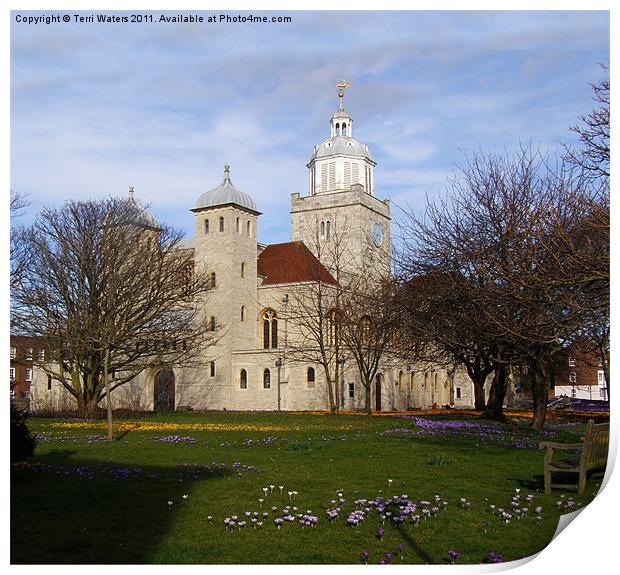 Portsmouth Cathedral in Springtime Print by Terri Waters