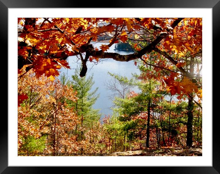 Fall colours Framed Mounted Print by Stephanie Moore