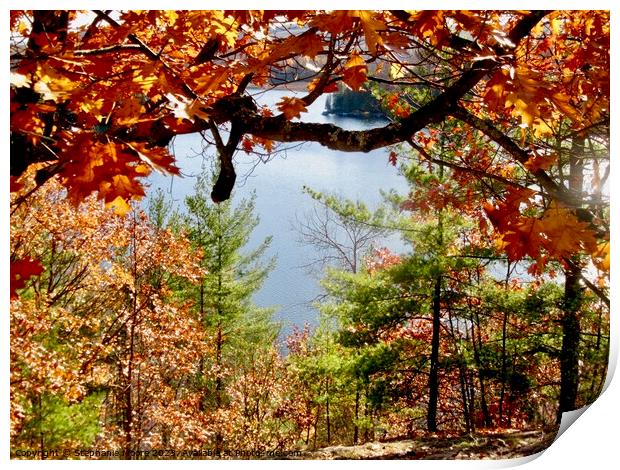 Fall colours Print by Stephanie Moore