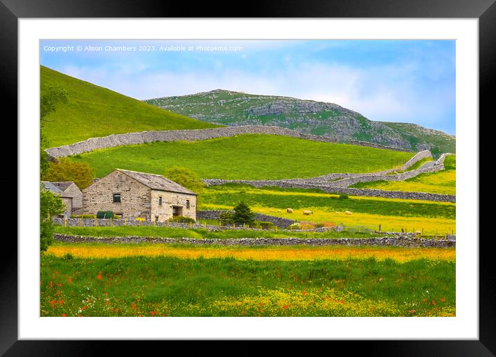 Green Malham landscape  Framed Mounted Print by Alison Chambers