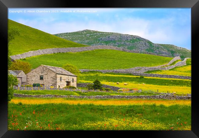 Green Malham landscape  Framed Print by Alison Chambers