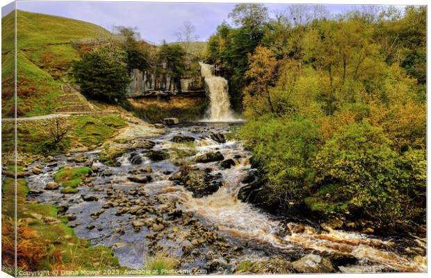 Thornton Force Waterfall   Canvas Print by Diana Mower