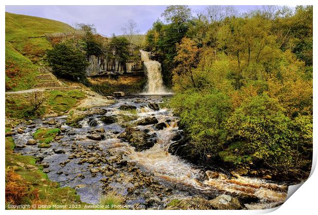 Thornton Force Waterfall   Print by Diana Mower