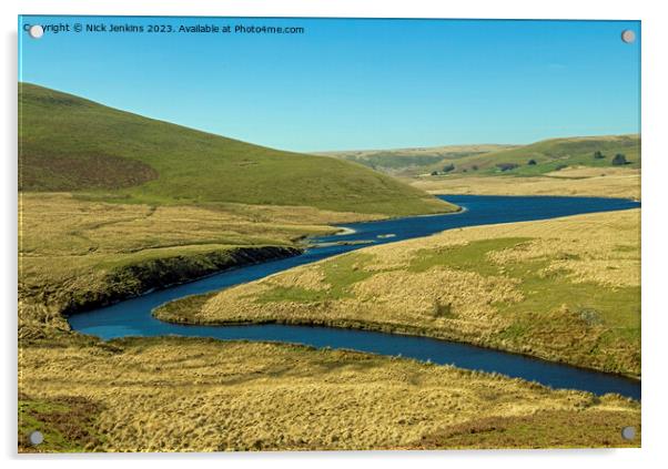 The River or Afon Elan entering the Elan Valley  Acrylic by Nick Jenkins
