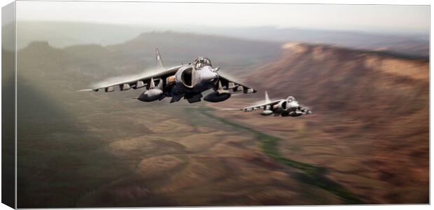 The Mighty Harrier Canvas Print by J Biggadike