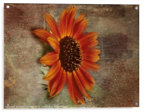 Red Sunflower 4 Acrylic by Judy Hall-Folde