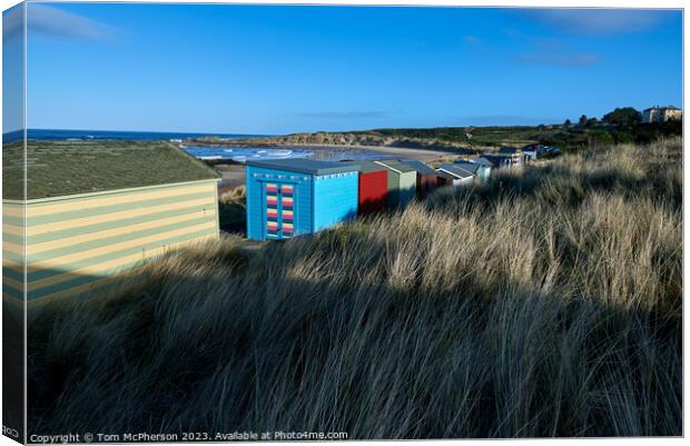 Hopeman Beach Huts from rear Canvas Print by Tom McPherson