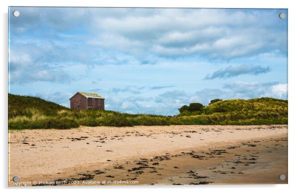 Serene Beach House  Acrylic by Michael Birch