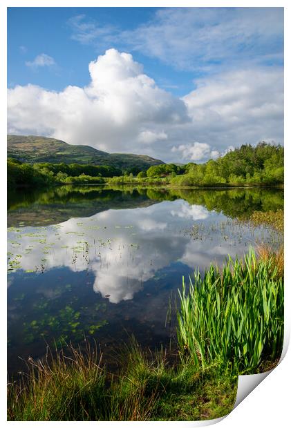 Reflections on a lake in North Wales Print by Andrew Kearton