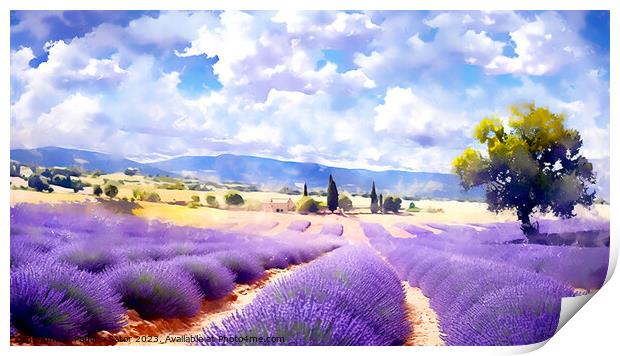 Lavender field Print by Paulina Sator