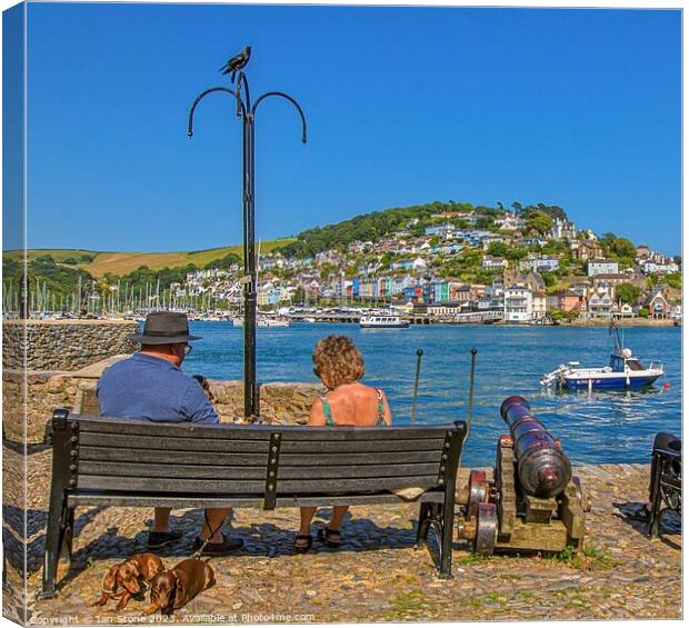 A view of Kingswear from Dartmouth. Canvas Print by Ian Stone