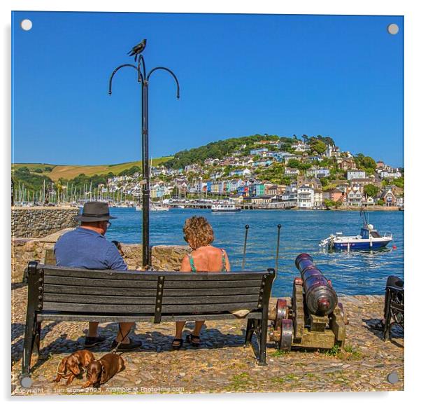 A view of Kingswear from Dartmouth. Acrylic by Ian Stone