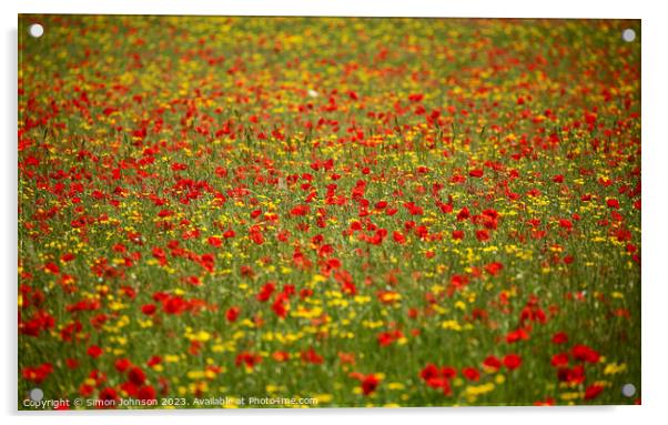 Outdoor field Acrylic by Simon Johnson