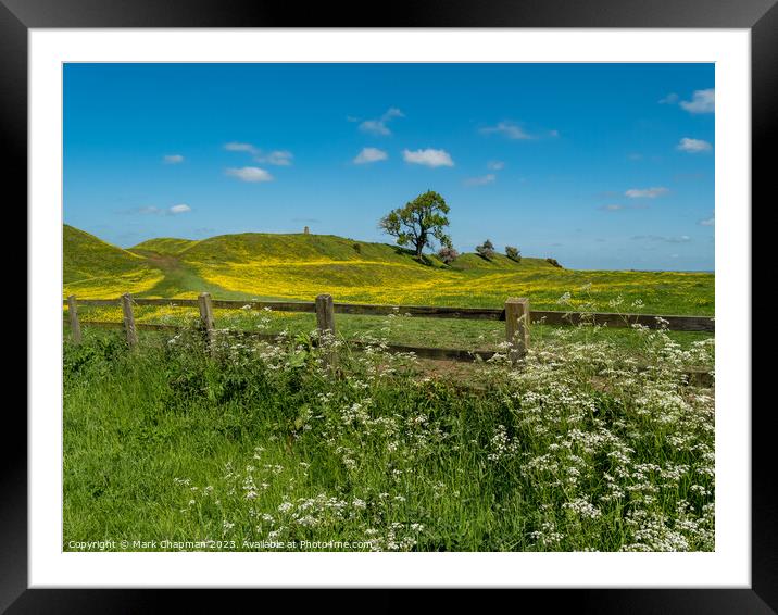 Spring flowers at Burrough Hill, Leicestershire Framed Mounted Print by Photimageon UK