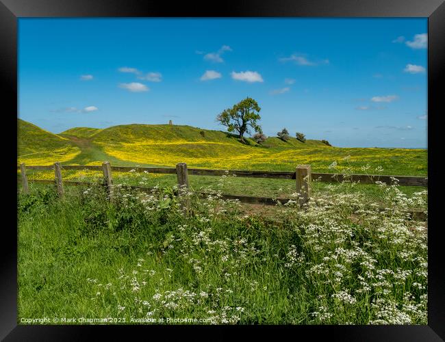 Spring flowers at Burrough Hill, Leicestershire Framed Print by Photimageon UK