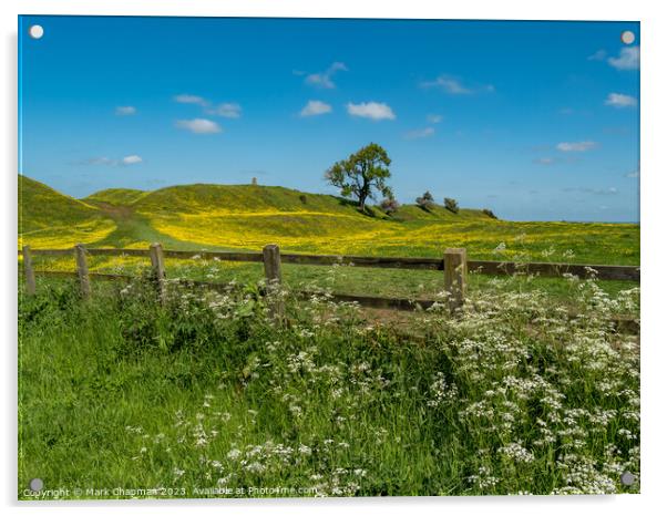 Spring flowers at Burrough Hill, Leicestershire Acrylic by Photimageon UK