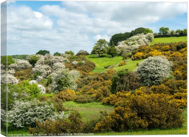 Spring blossom at Burrough Hill,Leicestershire Canvas Print by Photimageon UK
