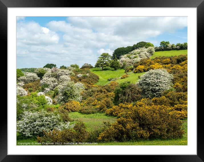 Spring blossom at Burrough Hill,Leicestershire Framed Mounted Print by Photimageon UK