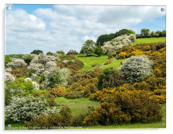 Spring blossom at Burrough Hill,Leicestershire Acrylic by Photimageon UK
