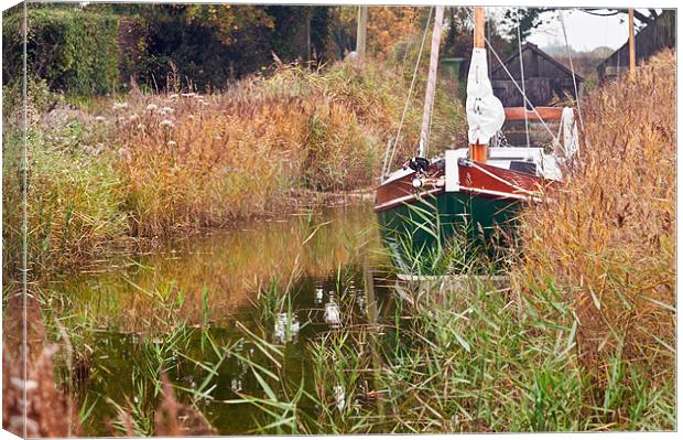 Moored at Hickling Canvas Print by Stephen Mole