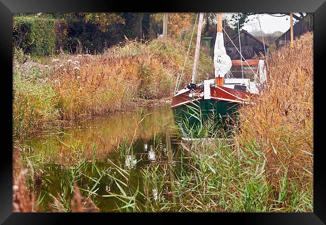 Moored at Hickling Framed Print by Stephen Mole