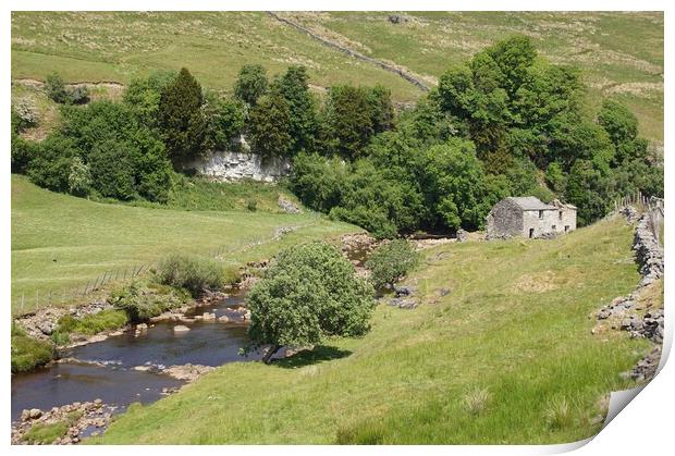 Derelict farmhouse by River Swale. Print by David Birchall