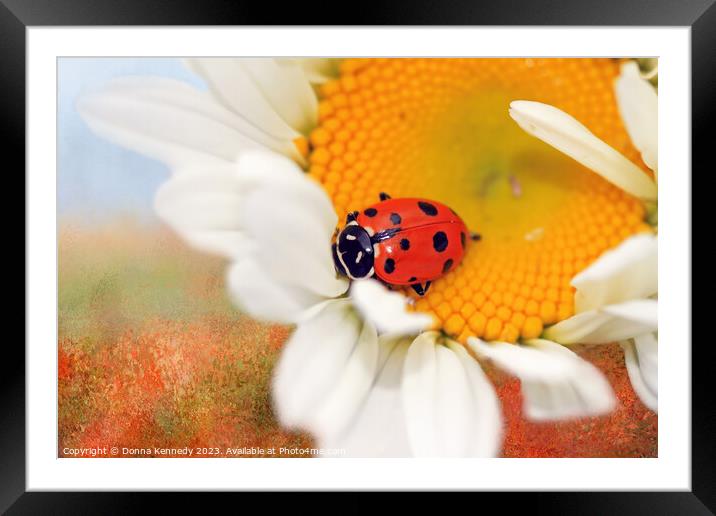 Lucky Lady Framed Mounted Print by Donna Kennedy