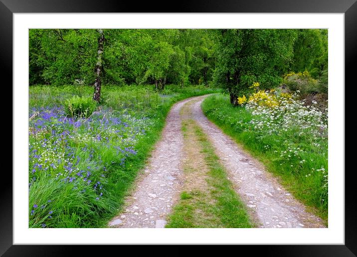 Beauly River Walk Framed Mounted Print by Macrae Images