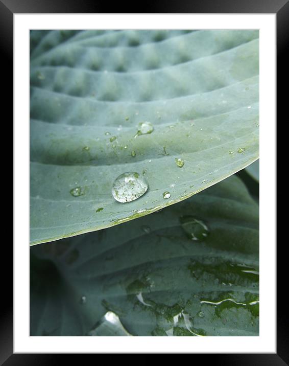 Water droplet Framed Mounted Print by Emily-Jane Christie
