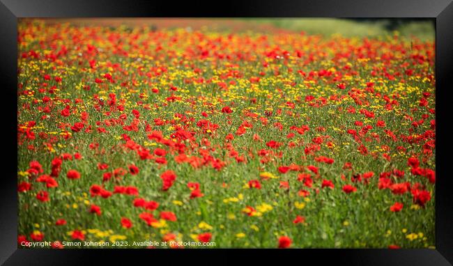 Vibrant Poppy Field Framed Print by Simon Johnson