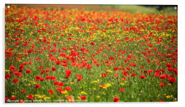 Vibrant Poppy Field Acrylic by Simon Johnson