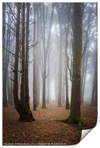 Forest with fog in Sintra Print by Paulo Rocha