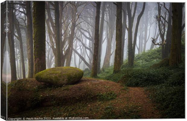 Foggy forest path in Sintra mountain, Portugal Canvas Print by Paulo Rocha