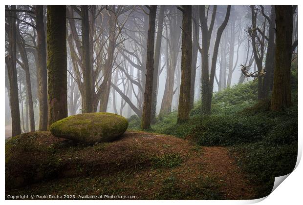 Foggy forest path in Sintra mountain, Portugal Print by Paulo Rocha