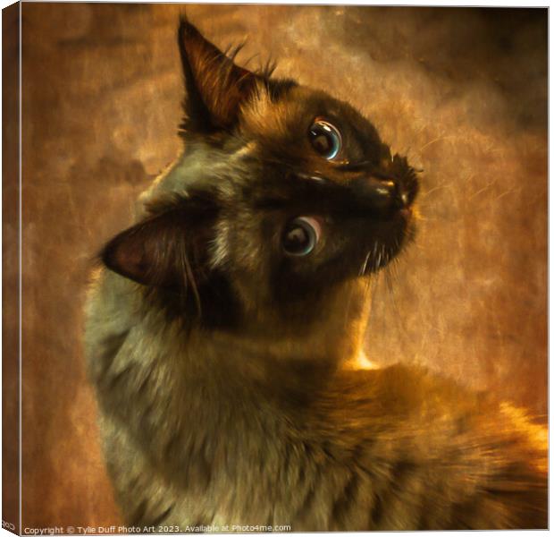 The Enigmatic Feline Gaze Canvas Print by Tylie Duff Photo Art