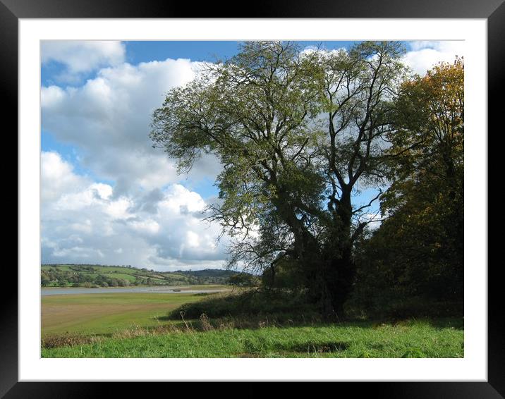 Blagdon Lakes Shoreline. Framed Mounted Print by Heather Goodwin