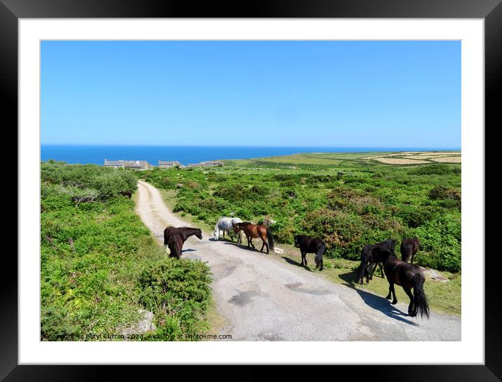  Free Roaming Horses  Framed Mounted Print by Beryl Curran