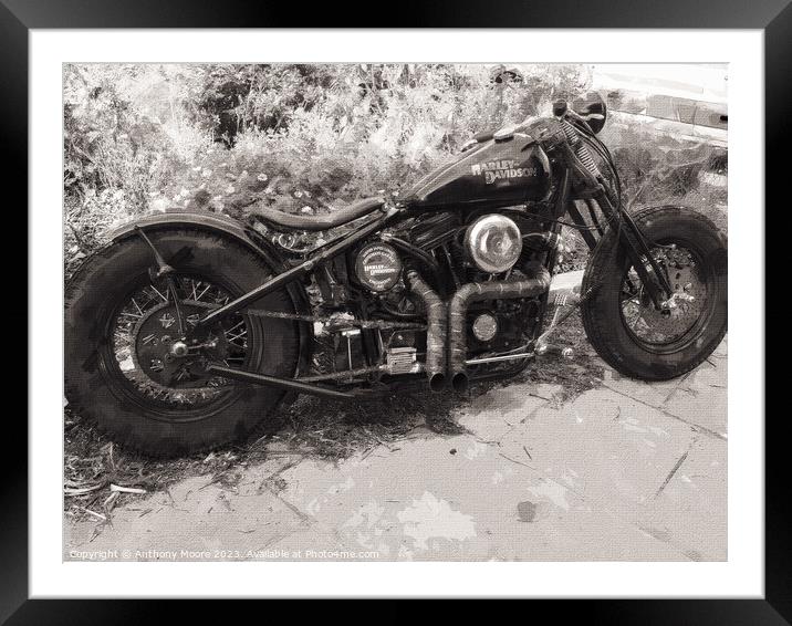 Harley. Framed Mounted Print by Anthony Moore