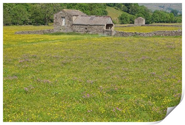 Barn and wildflower meadow in the Dales. Print by David Birchall